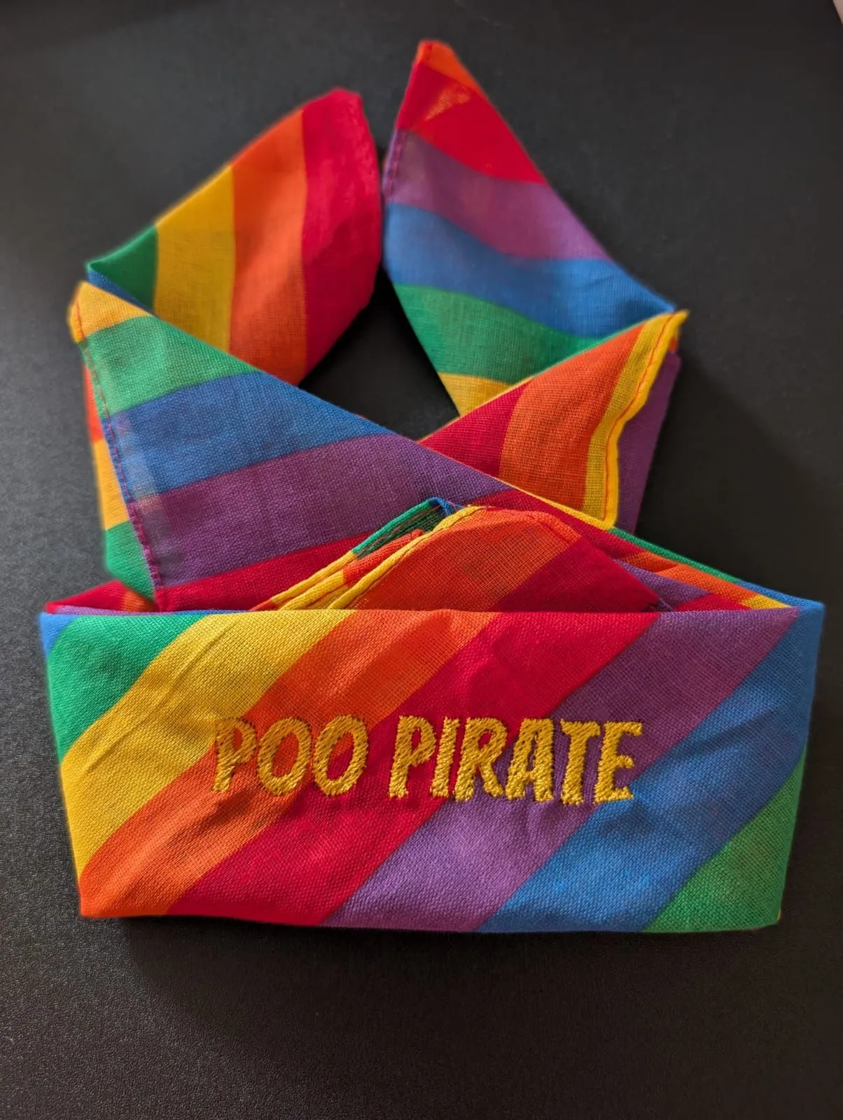 Brightly striped rainbow fabric with yellow embroidered ‘PRO PIRATE’ lettering